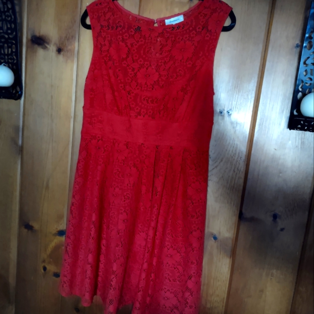 Red Lace Lined A Line Dressbarn Dress